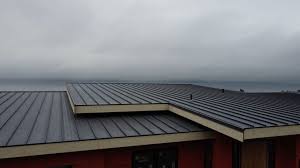 Best Solar Panel Roofing Installation  in Harper, TX